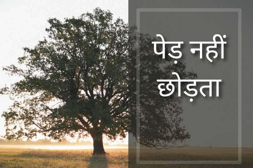 पेड़ नहीं छोड़ता Motivational story 